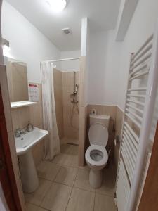 a small bathroom with a toilet and a sink at Casa Terezia in Braşov