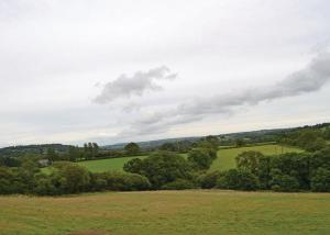 um campo verde com árvores e um céu nublado em Celtic Escapes em Narberth
