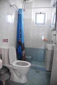 a bathroom with a toilet and a shower at Family Apartments 3 in Lékhaion +22 photos