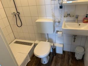 Hotel Capitol Zentrum - 24h - في فريدريشسهافن: حمام صغير مع مرحاض ومغسلة
