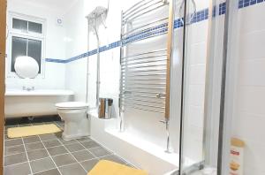 a bathroom with a shower and a toilet and a sink at Grace Apartments - Living Waters 2 in Ashford