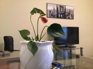 a white vase with a plant on a glass table at Grace Apartments - Living Waters 2 in Ashford