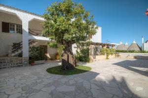 a tree in the courtyard of a house at Trulli La Piazzetta by Rentbeat in Cocolicchio