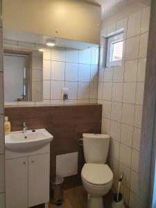 La salle de bains est pourvue de toilettes, d'un lavabo et d'un miroir. dans l'établissement Ośrodek Wypoczynkowy Słoneczny Brzeg, à Rzeszów