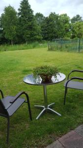 a table with a potted plant on it in a field at De Loft in Zuid-Scharwoude