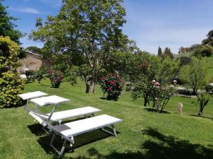 un grupo de mesas de picnic en un campo con rosas en Borgo Di Tragliata, en Tragliata