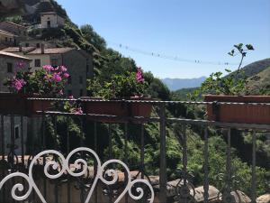 a fence with pink flowers on a hill at Borgo Manca Suite in Sasso di Castalda