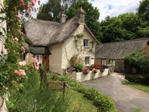 una pequeña casa blanca con flores en un patio en Three Pound Cottage, the Dartmoor Holiday Cottage en Lustleigh
