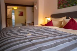 Galeriebild der Unterkunft Hotel Goldener Falke in Heidelberg + 30 Fotos