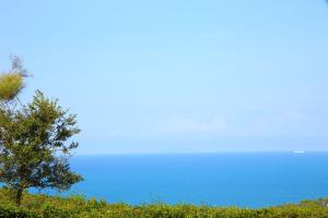 a tree on a hill with the ocean in the background at Casale del Mare in Castiglioncello