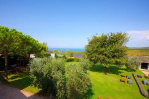 an overhead view of a garden with chairs and trees at Casale del Mare in Castiglioncello