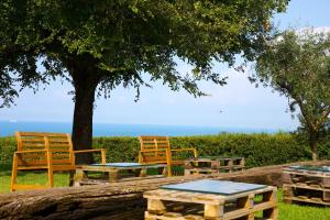 a group of chairs and tables under a tree at Casale del Mare in Castiglioncello
