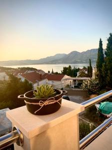En balkong eller terrasse på Apartments Miljas