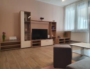 TV i/ili multimedijalni sistem u objektu Flower Apartment