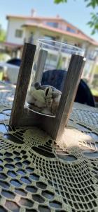 Gallery image of Park Hotel Djevana in Gorna Oryakhovitsa