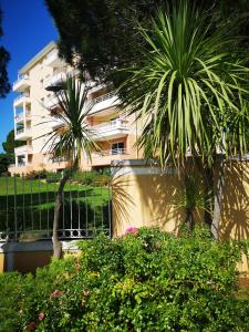 ein Gebäude mit zwei Palmen davor in der Unterkunft Le Bella Vista in Fréjus