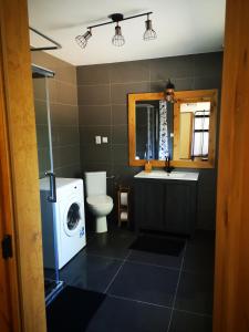 a bathroom with a toilet sink and a washing machine at Siedlisko na Roztoczu in Szastarka