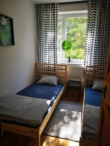 a bedroom with two bunk beds and a window at Siedlisko na Roztoczu in Szastarka