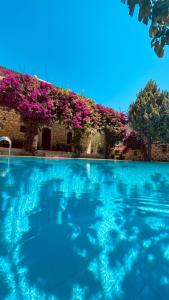 Alacati Zeytin Konak Hotel في ألاتشاتي: حمام سباحة به ماء أزرق وورود أرجوانية