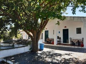 a tree in front of a house with a trash can at Horta do Muro in Campo Maior