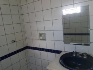 un bagno con lavandino e specchio di CASA das ORQUÍDEAS NOTA 1000 a Teresina