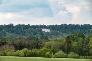 ein weißes Gebäude auf einem Hügel mit Bäumen in der Unterkunft Hotel Pfefferburg in Schönaich