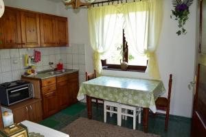 Kuhinja oz. manjša kuhinja v nastanitvi Holiday Home Amzici