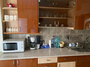 Una encimera de cocina con un microondas y un fregadero. en Apartament Aqua, en Călimăneşti