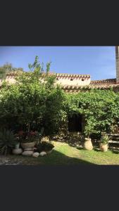 a garden with trees and plants in front of a building at Il Portico Guesthouse in Muravera