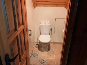 ein Bad mit WC in einem Zimmer in der Unterkunft Poilsio namelis Plateliuose in Plateliai