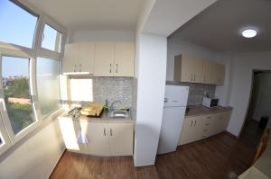 コスティネシュティにあるAPARTAMENT RAZVAN HOLIDAY COSTINESTIの白いキャビネットとシンクのあるキッチン