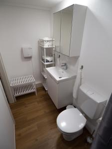 ein weißes Bad mit einem WC und einem Waschbecken in der Unterkunft Gemütliche Ferienwohnung im Reihenhaus in Hochheim am Main