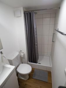 a small bathroom with a toilet and a shower at Gemütliche Ferienwohnung im Reihenhaus in Hochheim am Main +9 photos