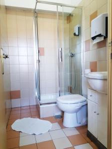 a bathroom with a toilet and a shower and a sink at 4-As center apartments in Guimarães