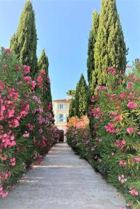 a pathway through a garden with pink flowers at Domaine de l'Aufrene in Hyères