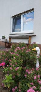 Ein Garten an der Unterkunft FeWo Hafner "Zuhause mit Ausblick"