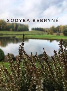une vue sur un lac avec les mots sophia berry dans l'établissement Bebryne, à Didviečiai