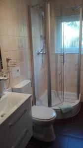 a bathroom with a shower and a toilet and a sink at Ferienwohnung Schmitz in Anschau