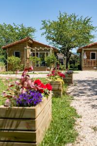 a display of flowers in front of a building at Les minis homes du Bugey - Eco-lodge Nature ,un refuge en hyper centre in Ambérieu-en-Bugey