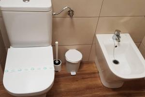 a bathroom with a white toilet and a sink at Aptos Cama del Rey ideal parejas in Santander