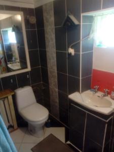 a bathroom with a toilet and a sink at Pokoje u Roberta in Węgorzewo