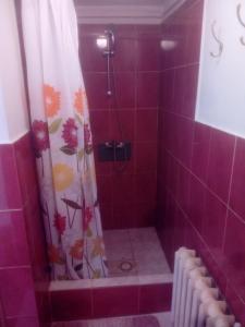 y baño con ducha de azulejos rosas y cortina de ducha. en Pokoje u Roberta, en Węgorzewo