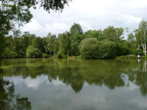 a large lake with trees in the background at Les Landes avec Terrasse et Jardin in Heuringhem