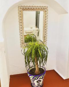 Fotografie z fotogalerie ubytování Número 9 v destinaci Medina Sidonia