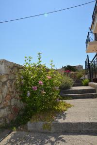 Fotografie z fotogalerie ubytování Lotus Sea View Apartments v destinaci Lixouri