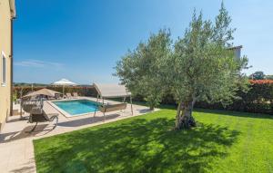 Πισίνα στο ή κοντά στο Villa Vanesa with Private Pool nearby Porec