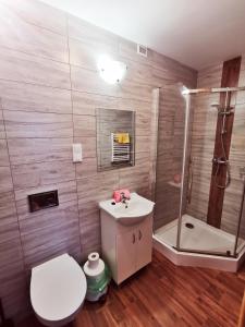een badkamer met een toilet, een douche en een wastafel bij Morska Fala in Karwia