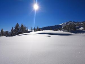a snow covered field with the sun in the sky at Ski&Bike Nassfeld Apartments in Hermagor