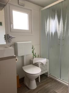 a bathroom with a toilet and a glass shower at Mobile Home M&M in Drage