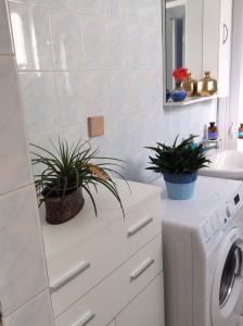 Kép Kleanthi's House szállásáról Haniában a galériában